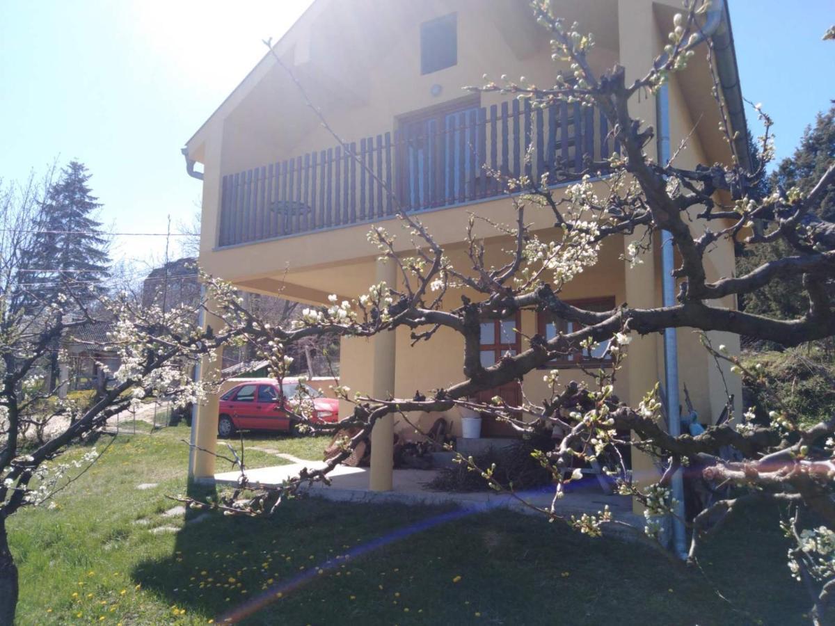 Dedinje Jagodina Exterior foto